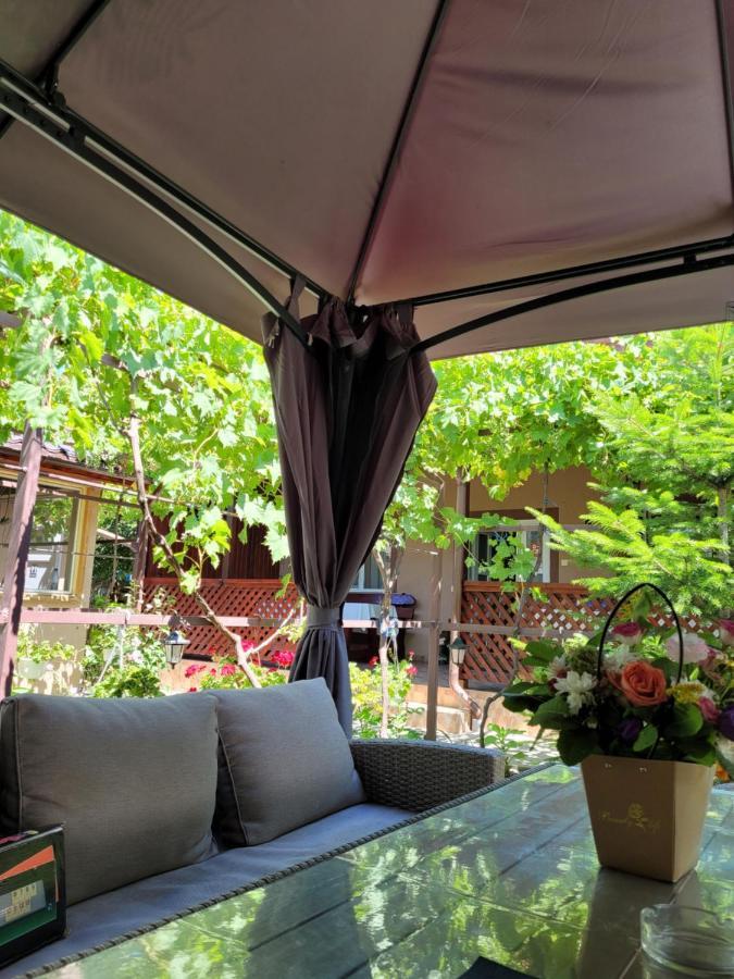 Casa Badea Hotel Murighiol Luaran gambar