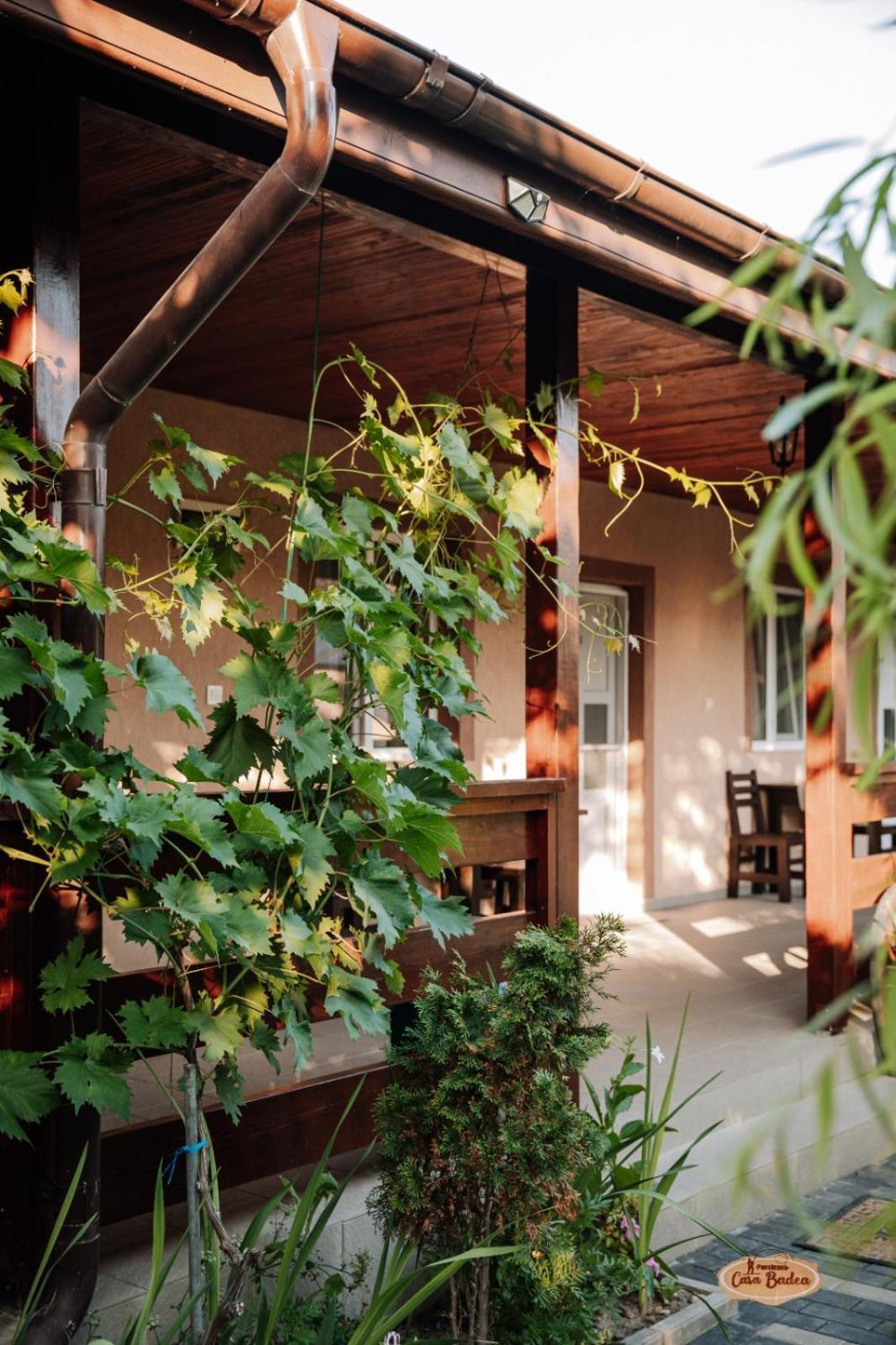 Casa Badea Hotel Murighiol Luaran gambar
